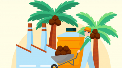 How To Start A Palm Oil Business spronet blog